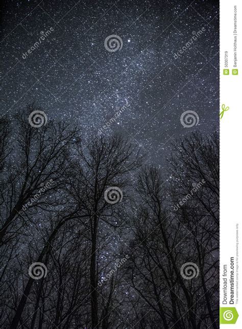 Galaxy Night Stock Image Image Of Milkyway Beautiful