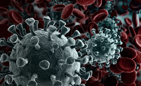 10 facts about the coronavirus | Faculty of Medicine | UiB