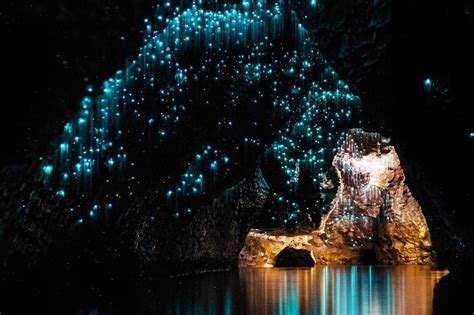 How To Get Into The Glow Worm Cave In Hamilton
