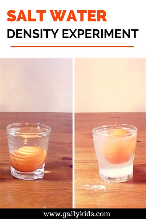 Density Experiment With Water Watch The Floating Egg