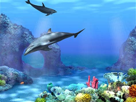 3d Animated Wallpaper Free Download Animated Wallpaper