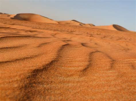 Lowongan kerja pt kahatex lulusan sma smk d3 s1. Sahara Sand Desert - Footsteps In The Sand Sahara Desert Footsteps In The Sand Sand Streams In ...