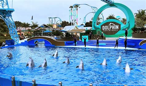 Seaworld San Diego Guide Best Things To Do Tips And Tricks