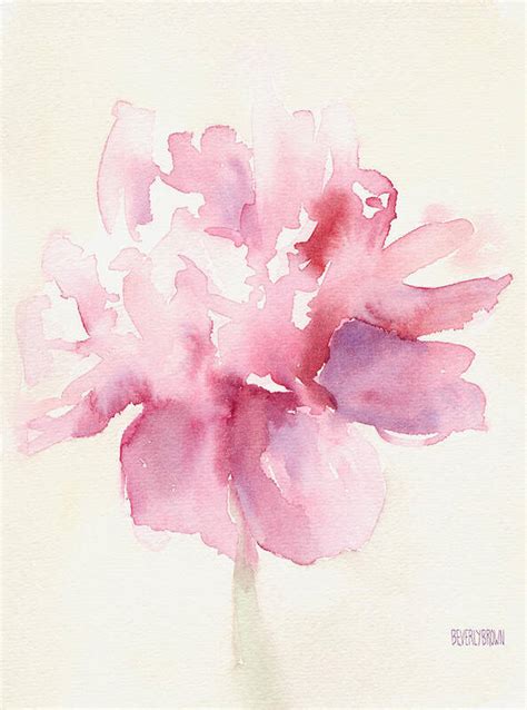 Pink Peony Watercolor Paintings Of Flowers Art Print By Beverly Brown