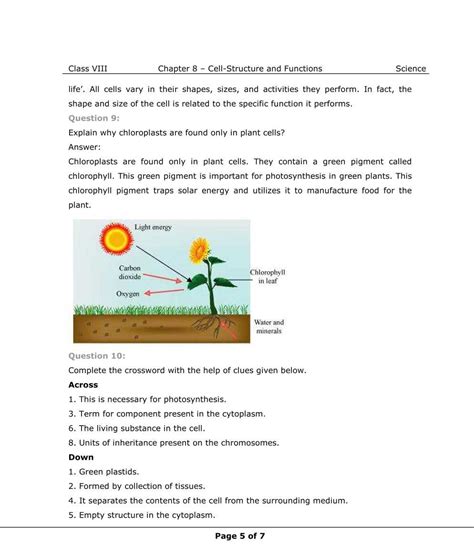 Ncert Solution For Class Science Chapter Cell Structure And Functions