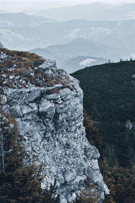 Rocky Rough Cliff Covered With Forest · Free Stock Photo
