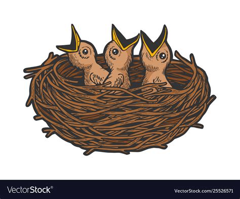 Bird Nest Vector Design Images Beautiful Birds Nest Clipart Nest My