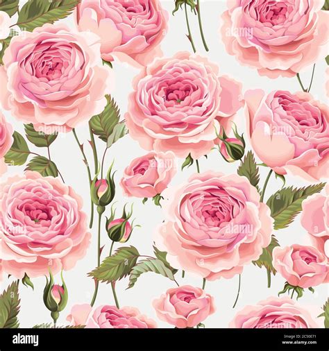 English Roses Seamless Stock Vector Image And Art Alamy