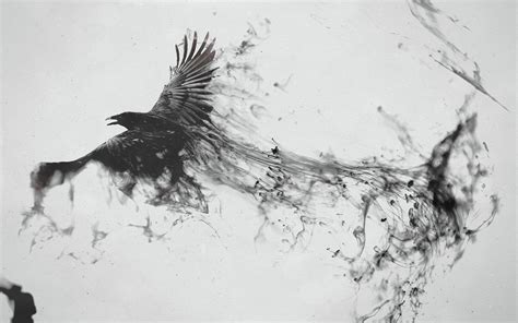 Crow Desktop Wallpaper 67 Images