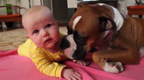Funny Dogs Protecting Babies Compilation 2017 Youtube