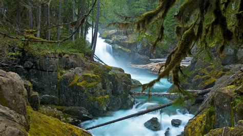 Mount Rainier National Park In Ashford Washington Expedia