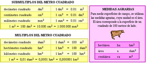 MatemÁticas Sexto A El Metro Cuadrado Y Sus Submultiplos