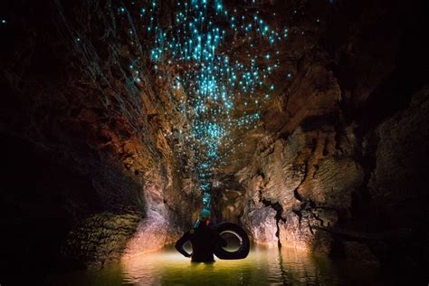 Glow Worms Emit A Phosphorescent Light That Turns Underground Caves