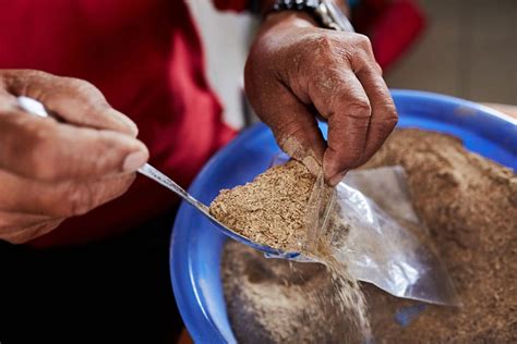 Kava's rich history as a herb that helps people calm themselves is underscored by different preparation methods. De-mythologizing the traditional drink kava - Research ...