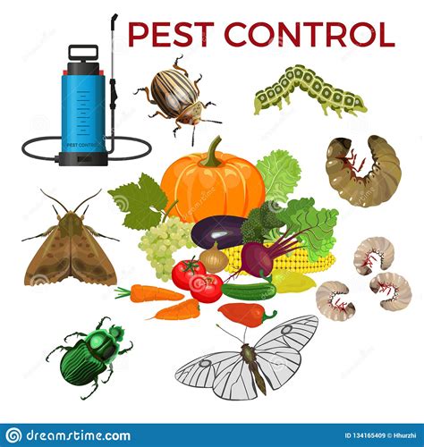 More recently other biological organisms the use of biological control is probably about as old as the history of agriculture. Pest control concept stock vector. Illustration of ...