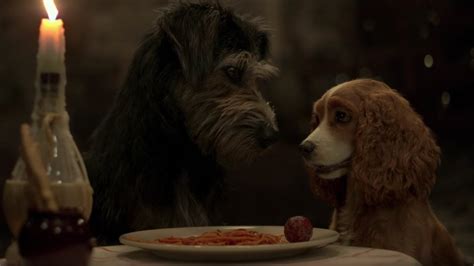Disney Debuts ‘lady And The Tramp Live Action Trailer Fox 4 Kansas