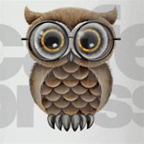 Cute Fluffy Brown Owl With Reading Glasses Drinkin By
