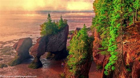 Interesting Facts About The Bay Of Fundy Just Fun Facts