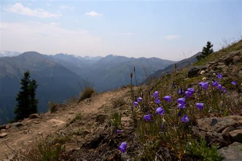 This Summer Hike Olympic National Parks Maiden Peak