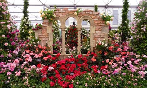 Looking to watch flower (2017)? Chelsea Flower Show 2017: Highlights - The Upcoming