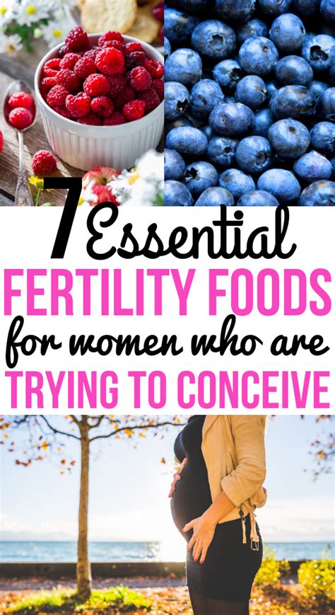 Eggs eggs are another fertility superfood and at the top of the list of foods to eat when trying to get pregnant. 7 Best Foods To Increase Fertility For Getting Pregnant ...