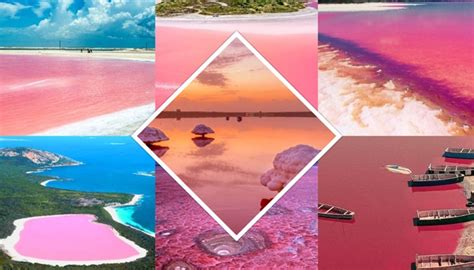 Top 7 Amazing And Beautiful Pink Lakes In The World