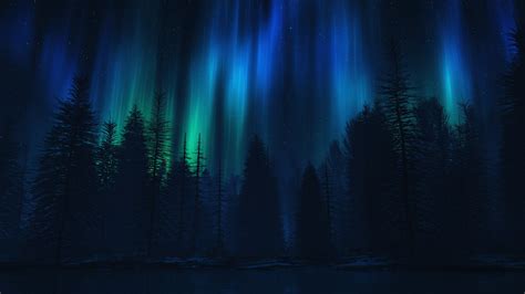 Wallpaper Aurora Borealis Trees Night Silhouette 2560x1440 Qhd
