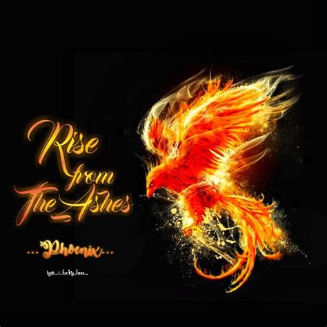 Phoenix Quotes Rise From The Ashes Phoenix Quotes Couple Hands