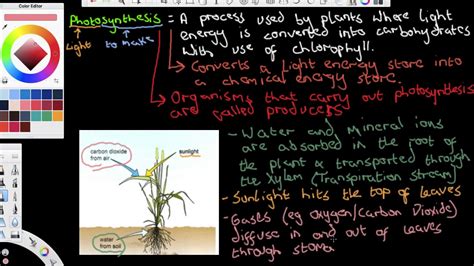 Explaining Photosynthesis Gcse Biology Lesson Recording Youtube