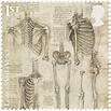 逝世500週年紀念，達文西的經典畫作出現在英國郵票上 | 非池中藝術網 | LINE TODAY
