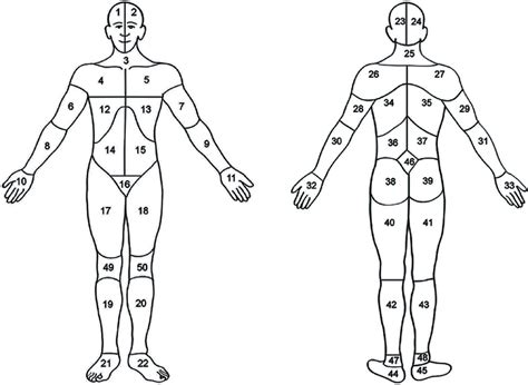 Another area diagram are heavily used is in the classroom, especially in the maths class. Body map. Head (area 1, 2, 23, or 24); neck (area 3 or 25), shoulders... | Download Scientific ...