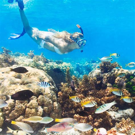 Belize Is Home To The Mesoamerican Barrier Reef System The Second