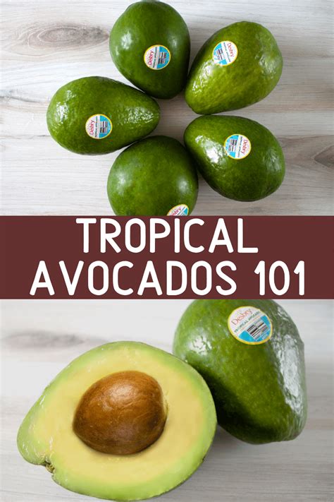 Tropical Avocados 101 How To Select Store Serve The Produce Moms