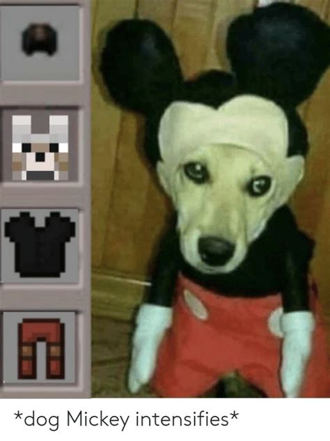 Dog Mickey Intensifies Dank Meme On Meme