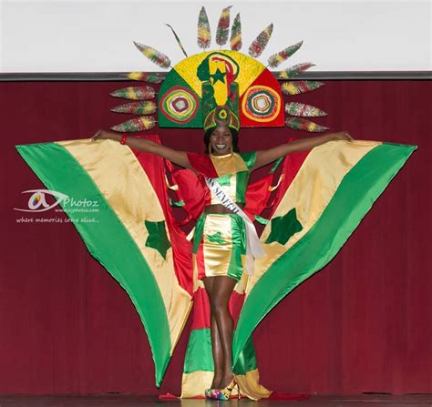 miss africa usa parade of nations 2015 was the highlight of pageant night miss africa usa