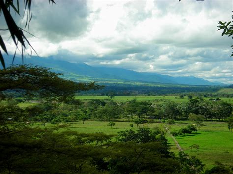 Filelos Llanos Colombia By Davidpng Wikipedia