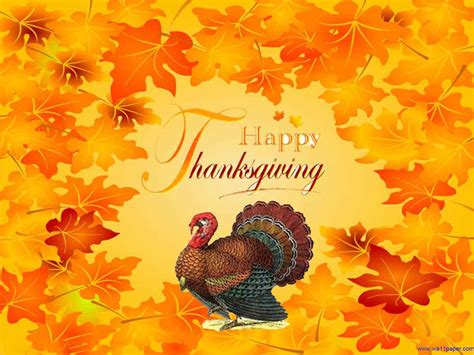 hd wallpapers happy thanksgiving turkey wallpaper 1440×1080 happy thanksgiving turkey