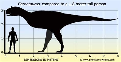 Image Carnotaurus Size Jurassic Park Wiki Fandom Powered By Wikia