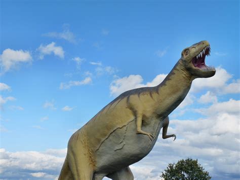 Unduh 460 Koleksi Gambar Hewan Dinosaurus Terbaru Gratis Hd Pixabay Pro