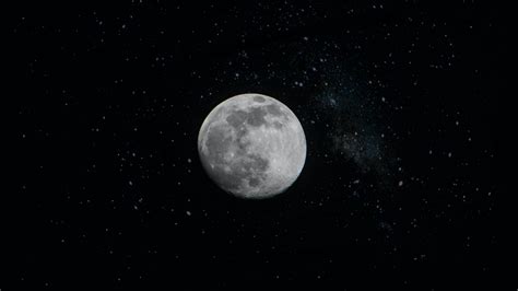 Moon Tree Starry Sky Night Stars Dark 4k Hd Creative