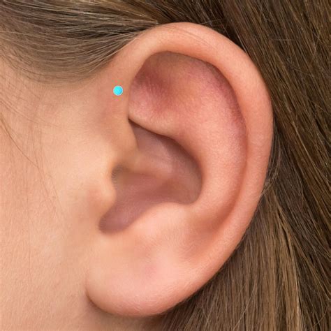 Bioflex Forward Helix Earring Stud Turquoise Conch Earring Etsy