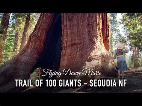 Vlog Trail Of Giants Sequoia National Forest Youtube