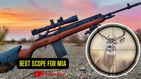 Top 5 Best Scope For M1a Reviews 2023 Updated