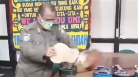 Dengan menggunakan pp couple viral, orang lain jadi bisa mengerti hubunganmu dengan pasanganmu. Takdir Satpol PP Berhadapan dengan Orang Kecil, Bagaimana ...