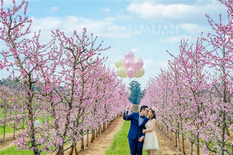 Please check in video descriptions for links to the author's websites. SIDLEFAYE Melbourne/Perth wedding photographer : Melbourne-Perth wedding photography SIDLEFAYE ...