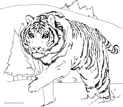 Tiger Head Coloring Page At Free Printable Colorings