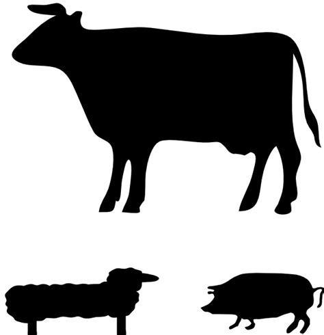 Angus cattle Jersey cattle Welsh Black cattle Guernsey cattle Holstein Friesian cattle - farm ...