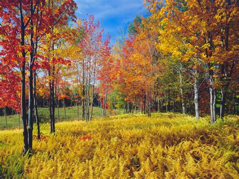 Vermont Fall Foliage 2017 How To Experience The Best Of The Season