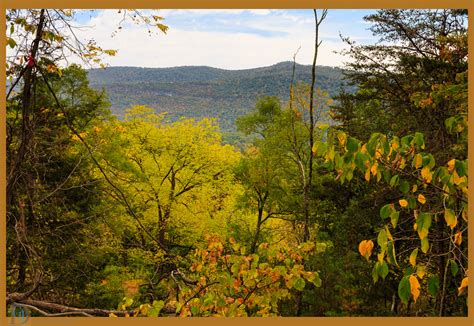 View more property details, sales history and zestimate data on zillow. Elevation of S Mill Creek Rd, Petersburg, WV, USA ...