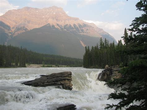 The Athabasca Falls A Part Of The Scenic Icefields Parkway Drive From